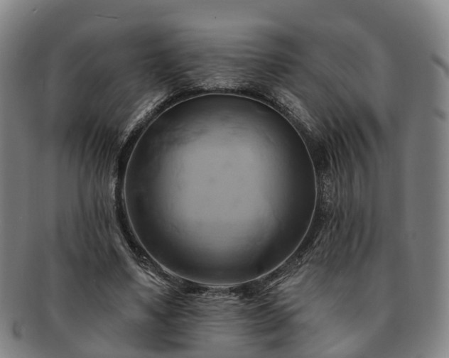 X0000091590491200708271246