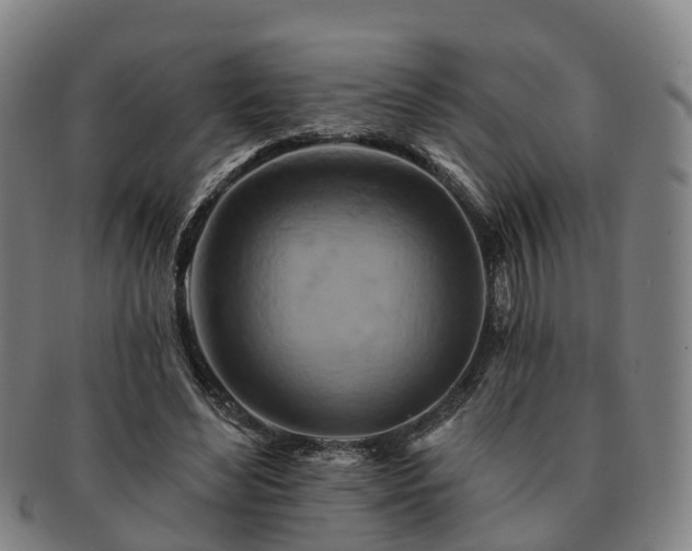 X0000091590492200708271246