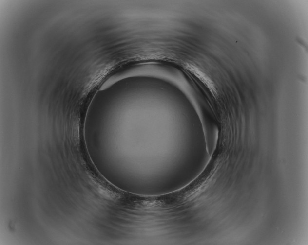 X0000091590493200708271246
