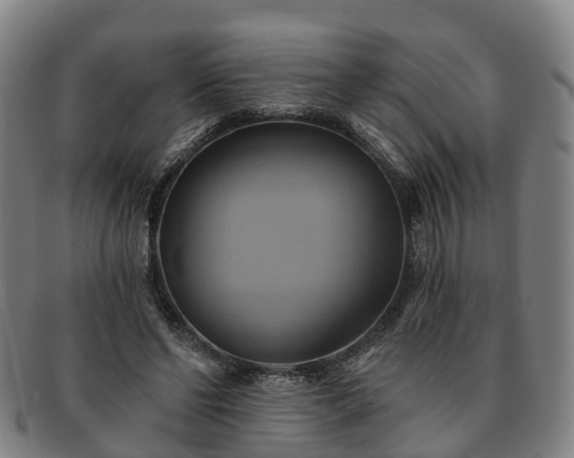 X0000091590494200708271246