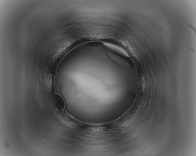 X0000091590495200708271246