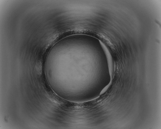 X0000091590496200708271246