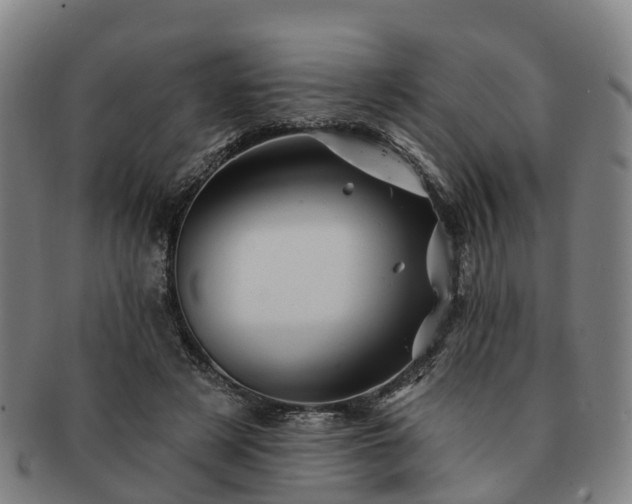 X0000091590497200708271246