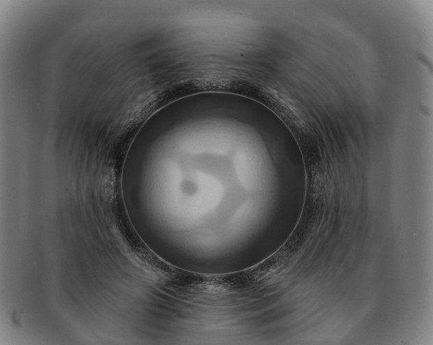 X0000091590498200708271246