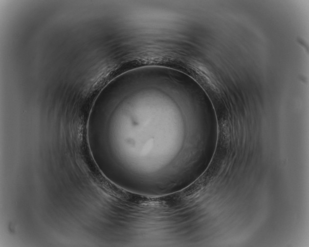 X0000091590499200708271246