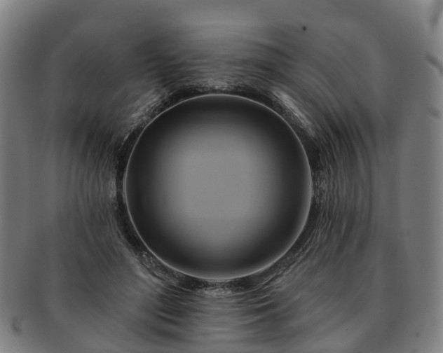 X0000091590500200708271246