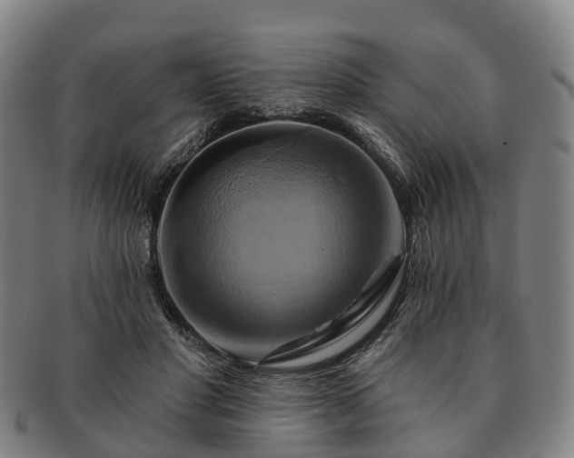 X0000091590501200708271246