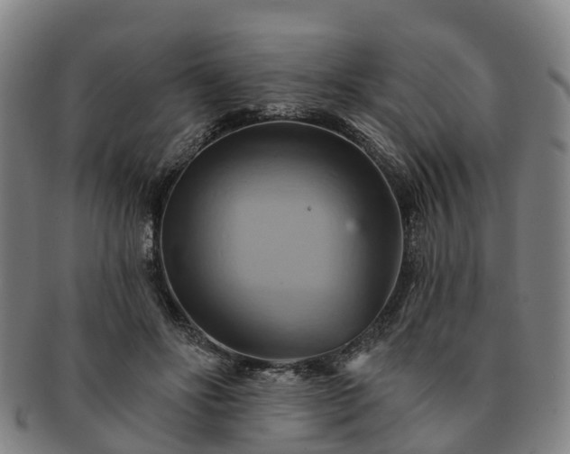 X0000091590502200708271246