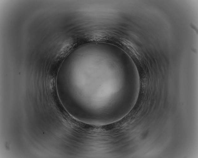 X0000091590503200708271246