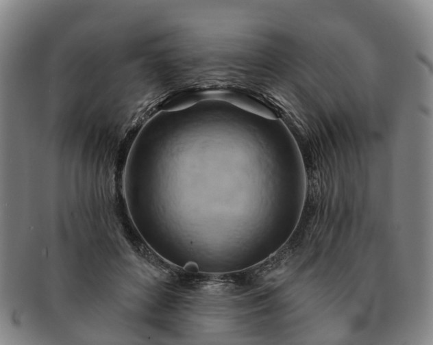 X0000091590504200708271246