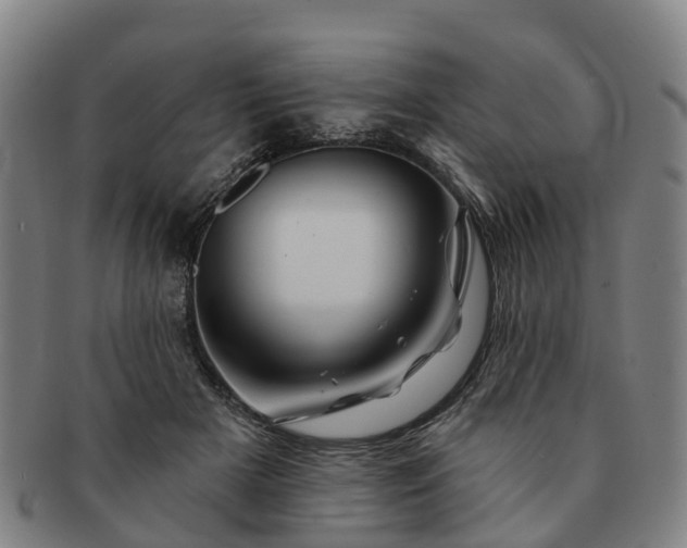 X0000091590505200708271246