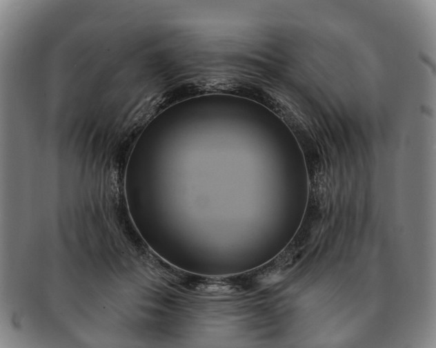 X0000091590506200708271246