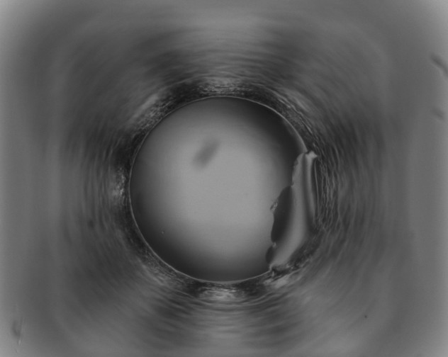 X0000091590507200708271246