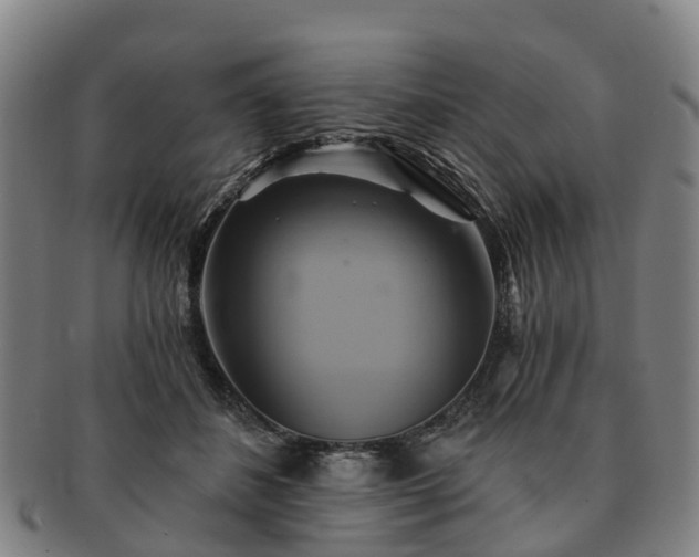 X0000091590508200708271246