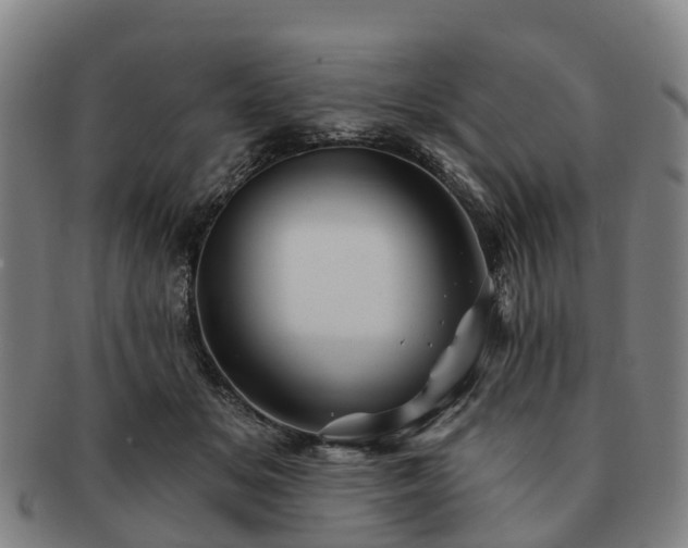 X0000091590509200708271246