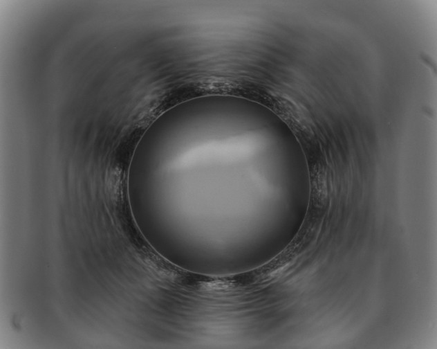 X0000091590511200708271246
