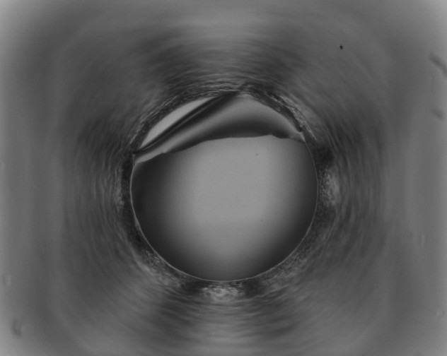 X0000091590512200708271246