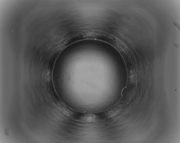 X0000091590514200708271246