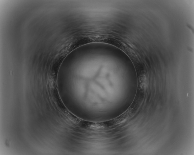 X0000091590515200708271246