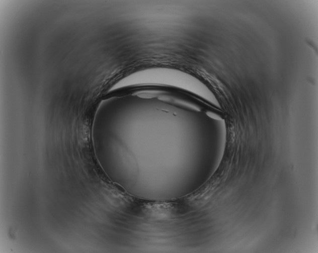 X0000091590517200708271246