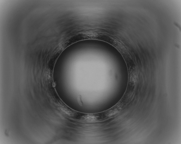 X0000091590518200708271246