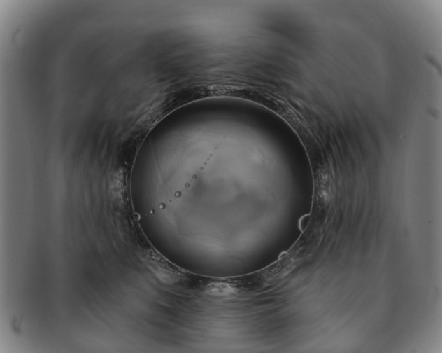 X0000091590519200708271246