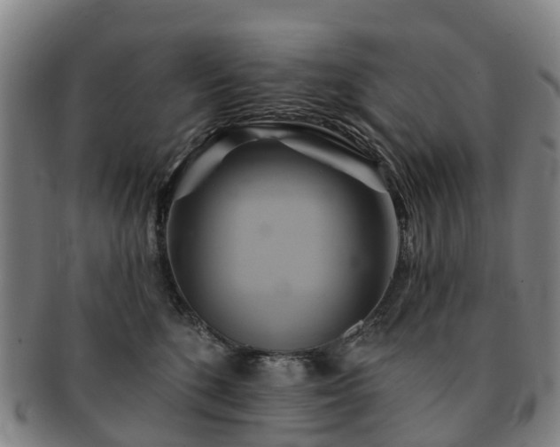 X0000091590520200708271246