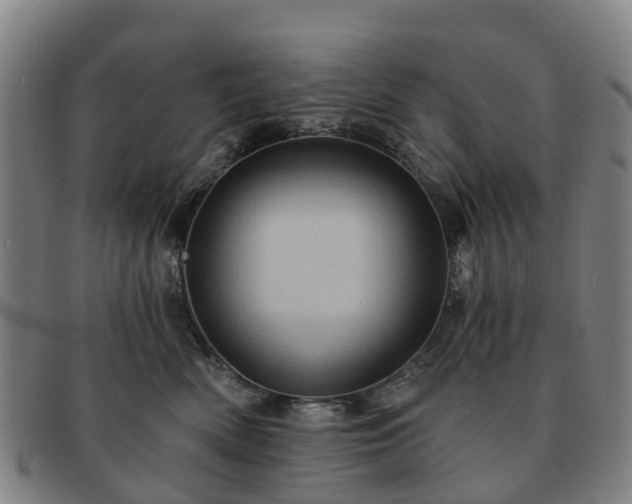 X0000091590522200708271246
