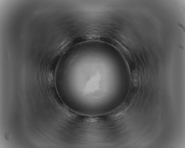 X0000091590523200708271246