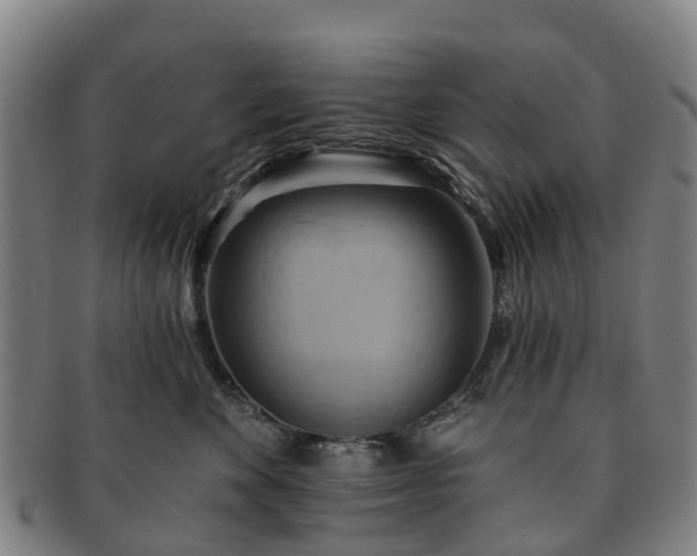X0000091590524200708271246