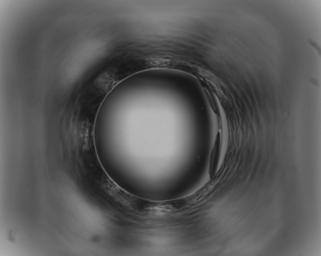 X0000091590525200708271246
