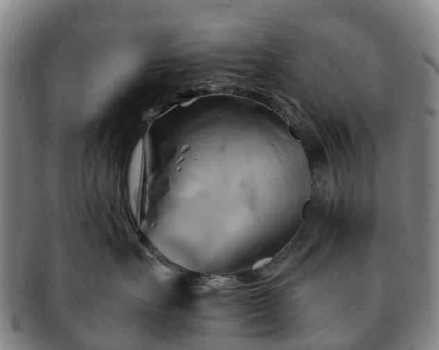 X0000091590527200708271246