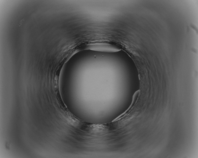 X0000091590528200708271246