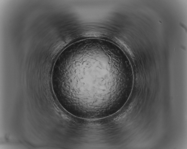 X0000091590529200708271245