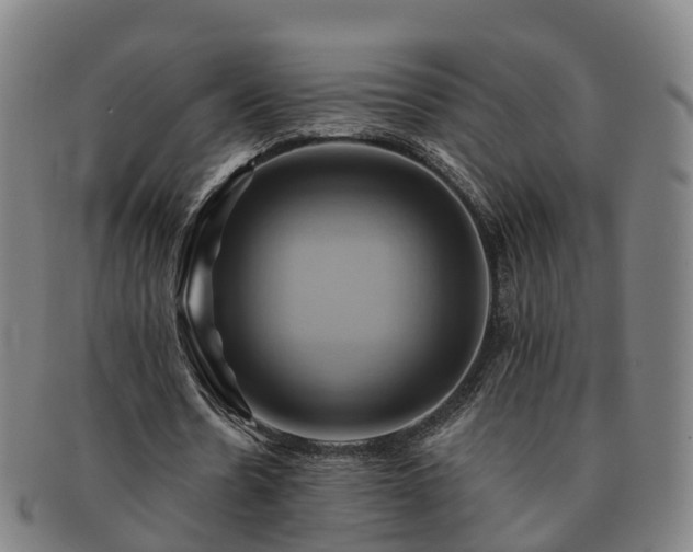 X0000091590530200708271245