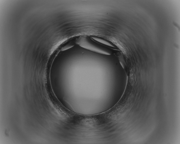X0000091590536200708271245