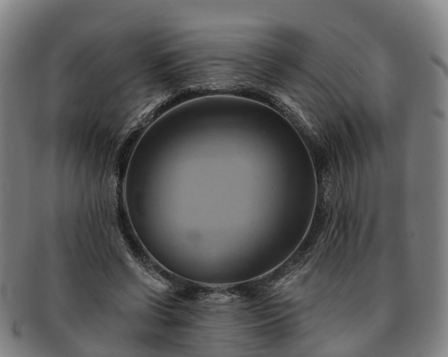 X0000091590542200708271245