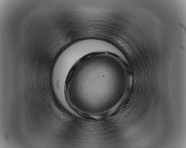 X0000091590546200708271245