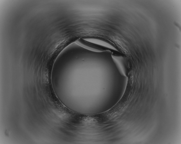 X0000091590547200708271245