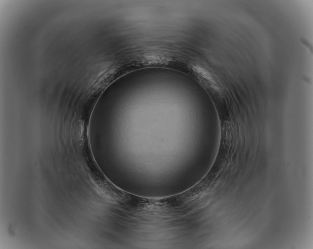 X0000091590550200708271246