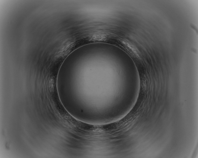 X0000091590551200708271246