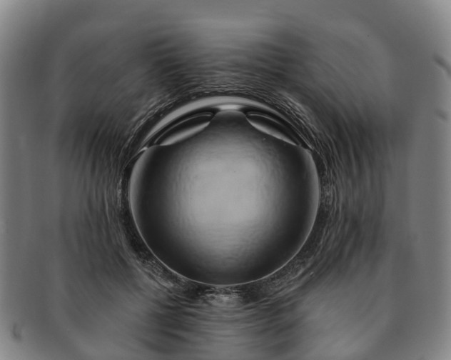 X0000091590552200708271246
