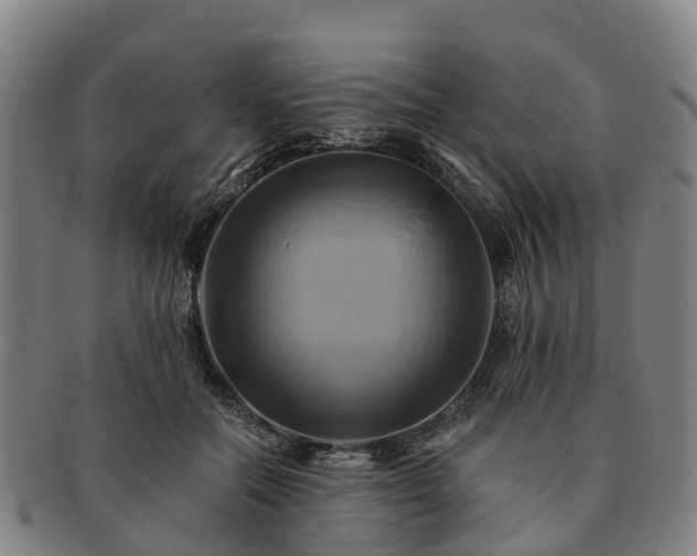 X0000091590554200708271246