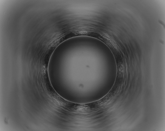X0000091590555200708271246