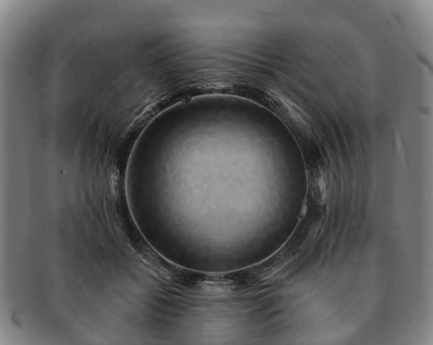 X0000091590556200708271246