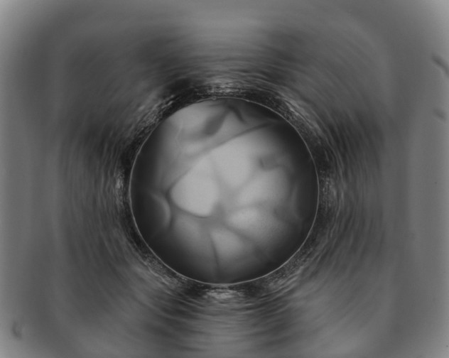 X0000091590557200708271246