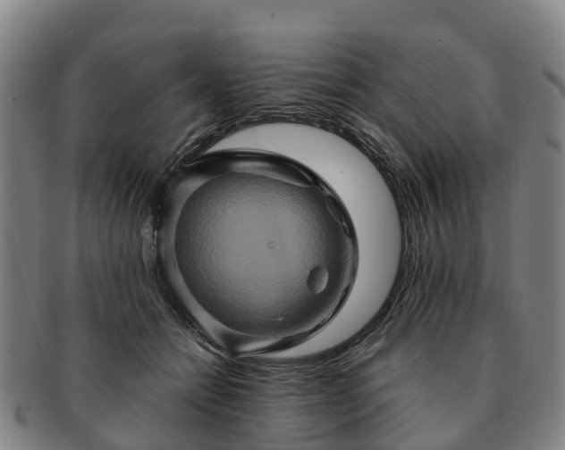 X0000091590558200708271246