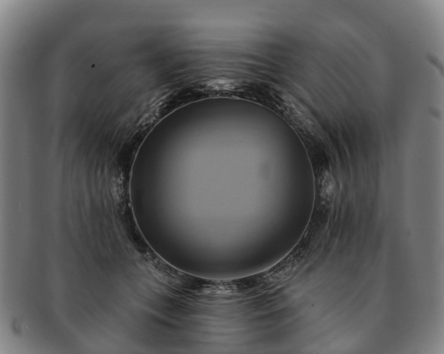 X0000091590559200708271246