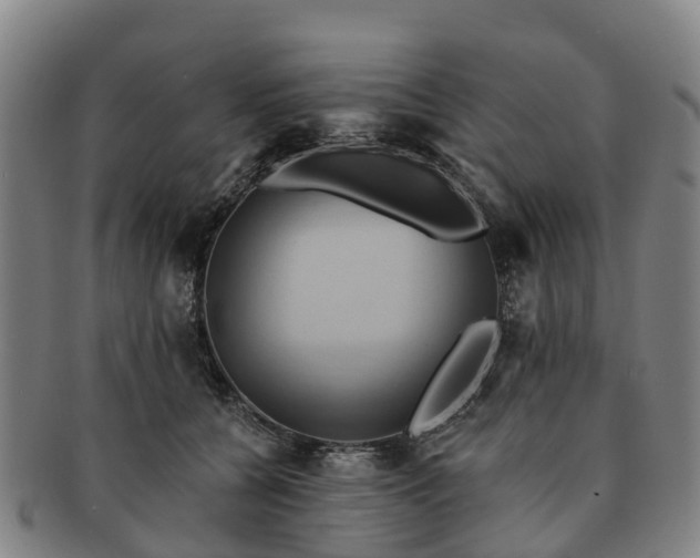 X0000091590560200708271246