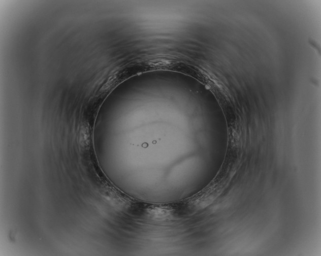 X0000091590561200708271246